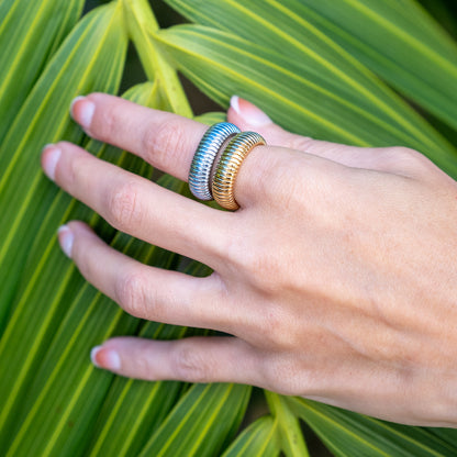 Hand wearing a gold and silver ring against a green leaf background