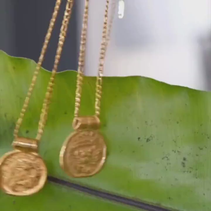 zodiac necklace in mmotion